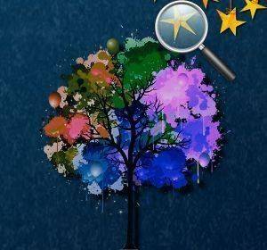 Forest Star Search Puzzle Game