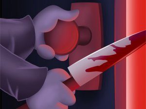 Mystery Party Puzzle Game