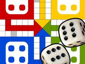 Classic Ludo Multiplayer Board Game