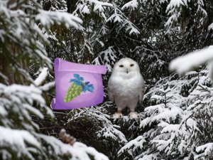 Winter Wonderland Forest Adventure Online Puzzle Game