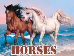 Horses Slide Puzzle