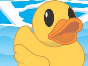 Help The Duck Physics Puzzle